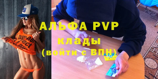 apvp Дмитров