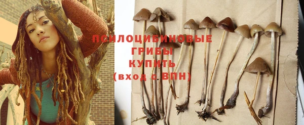 прущая мука Гусев