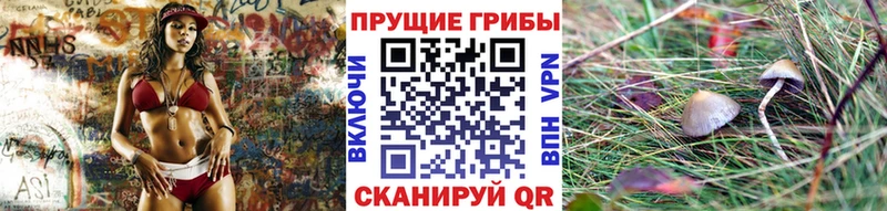 Псилоцибиновые грибы мицелий купить закладку Иланский
